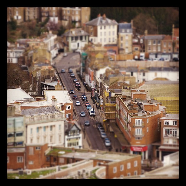 Miniature Dover