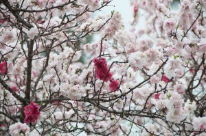 2010-03-17 at 17-02-23