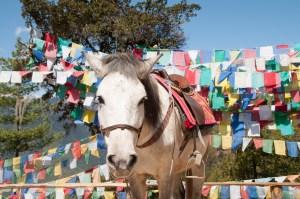 2010-03-18 at 10-20-45