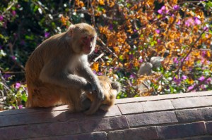 2013-01-05 at 05-31-19