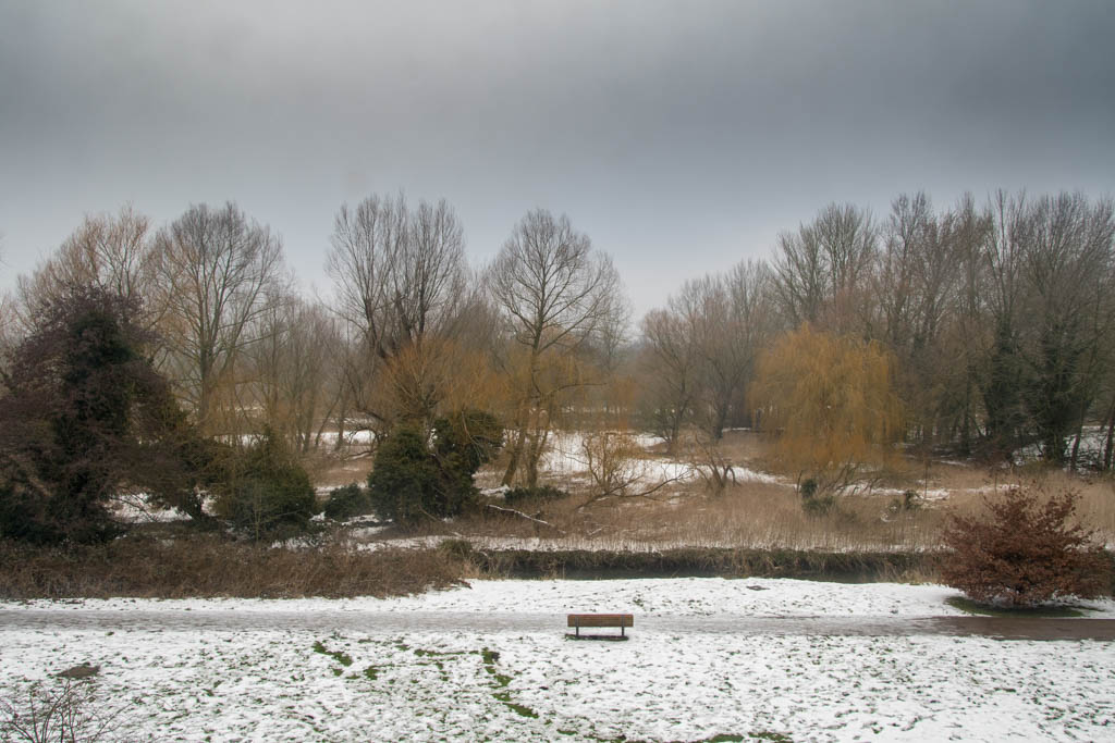 Comparing cameras Pt.1 (Day&nbsp;Light)