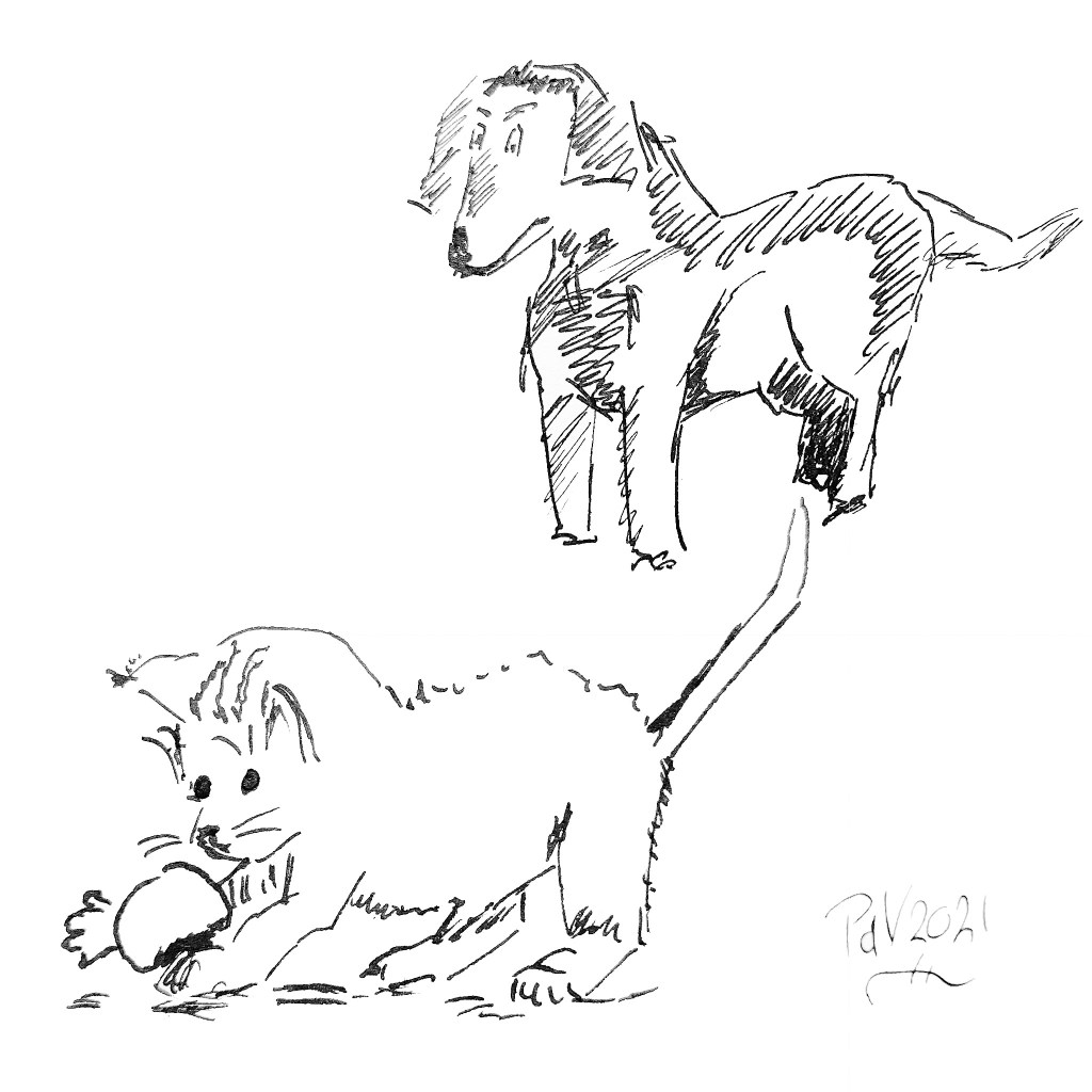 A drawing of a kitten and a dog – India&nbsp;Ink
