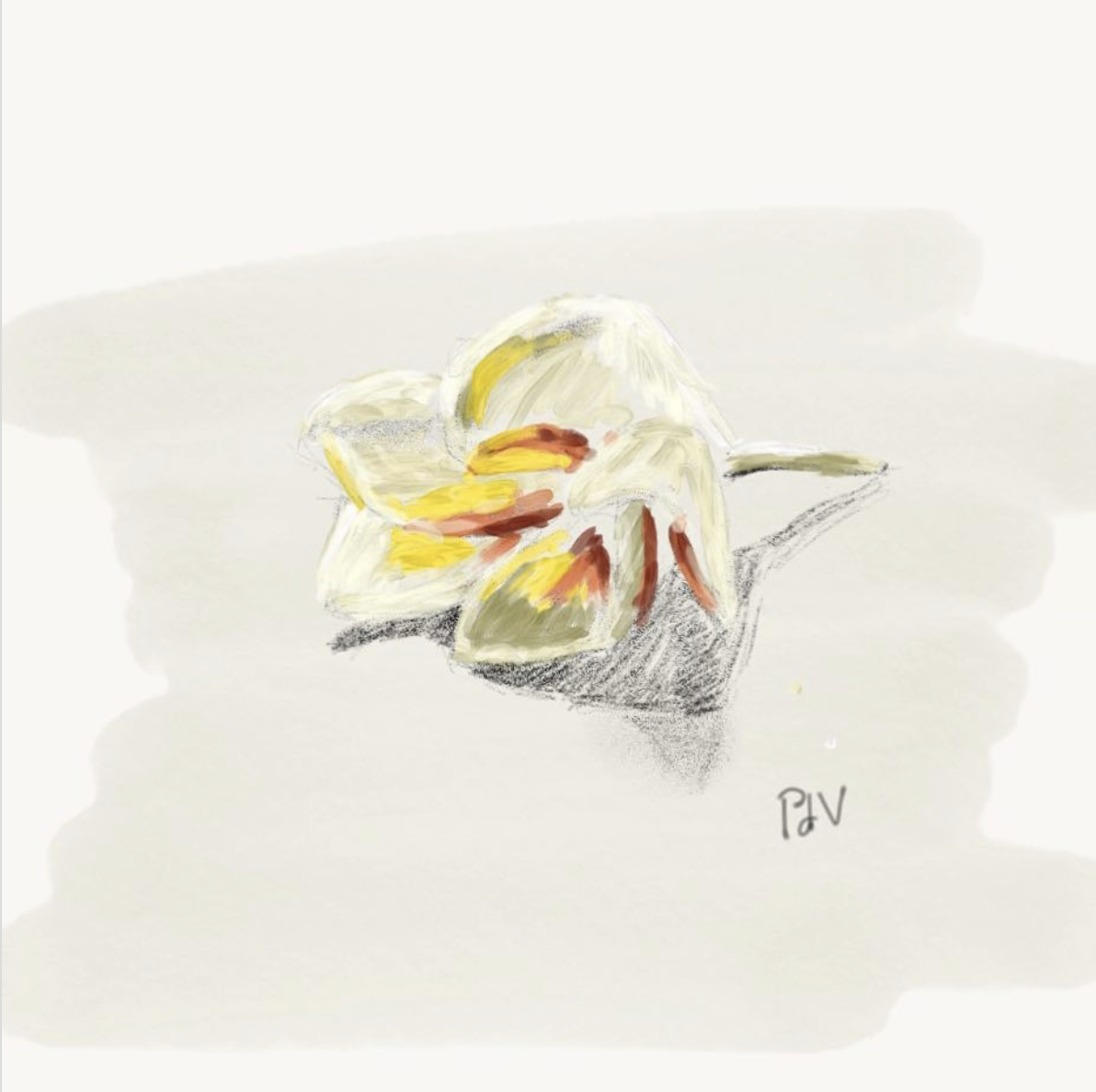 A Little Flower – A Digital Drawing