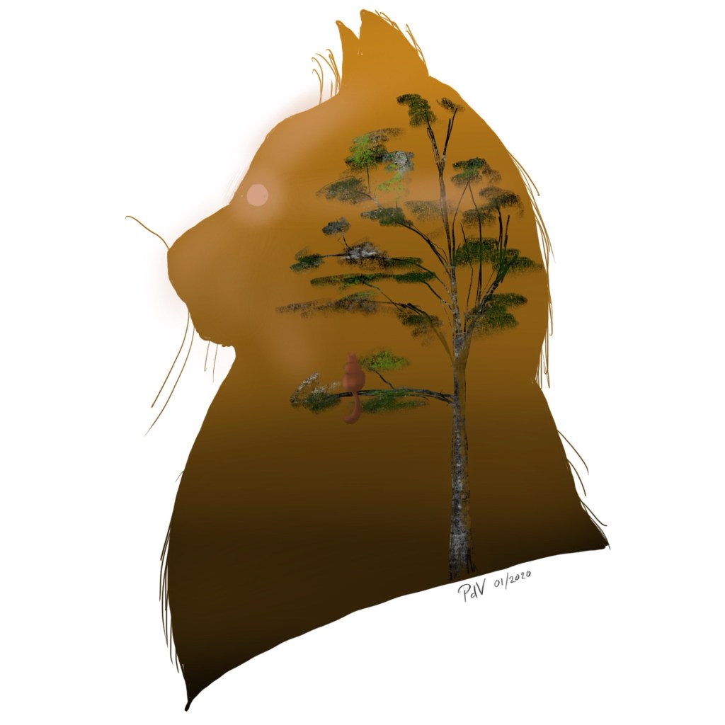 Silhouette of a Cat – A&nbsp;Drawing