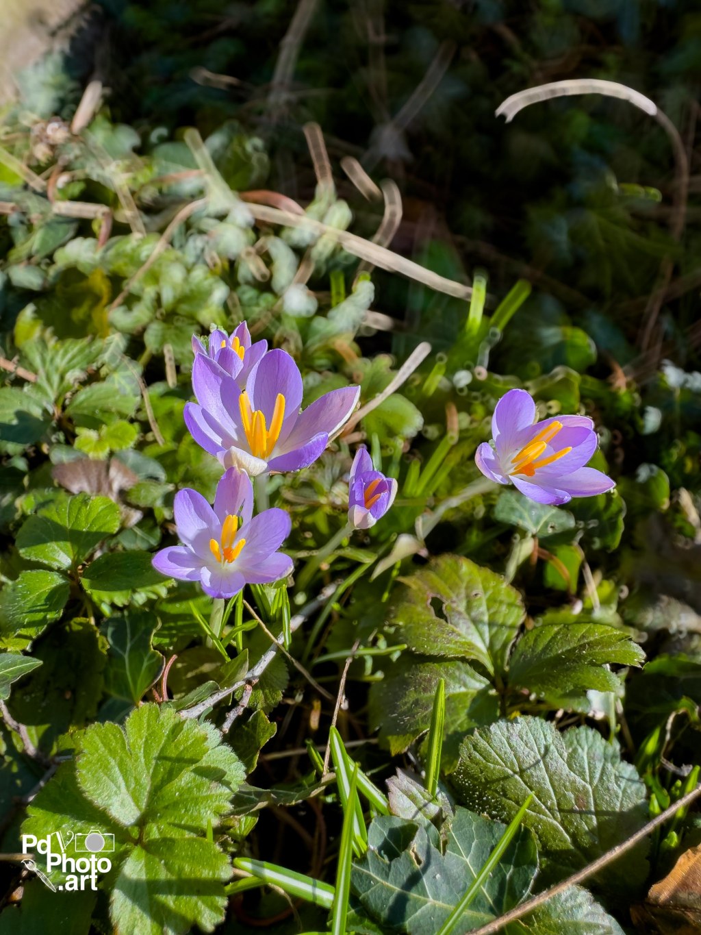 Random Photo Wednesday –&nbsp;Spring!