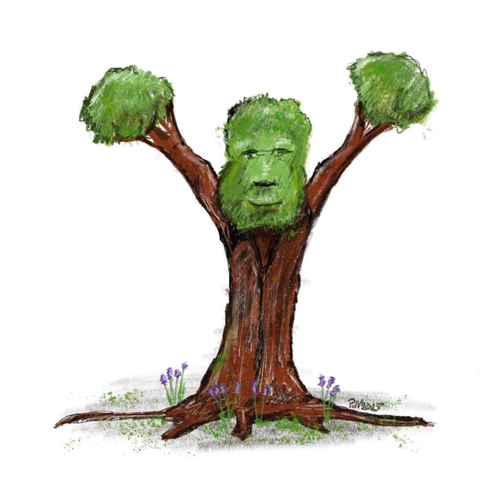 A triptych of trees –&nbsp;Drawings