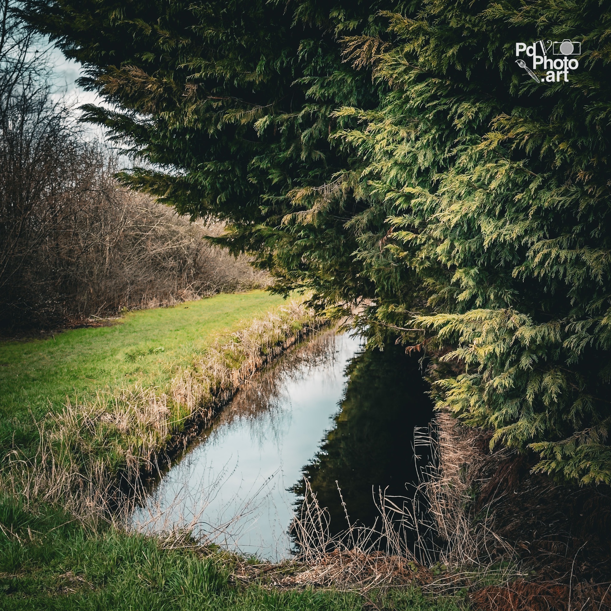 Random Photo Wednesday – Reflection in a Drainage Ditch